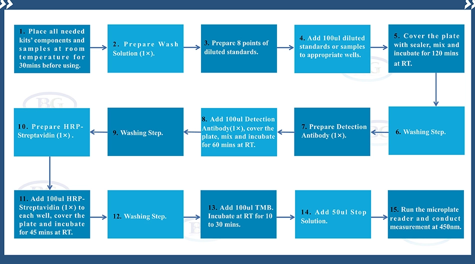 Summary of the Assay Procedure for Human Angiopoietin 2 ELISA kit