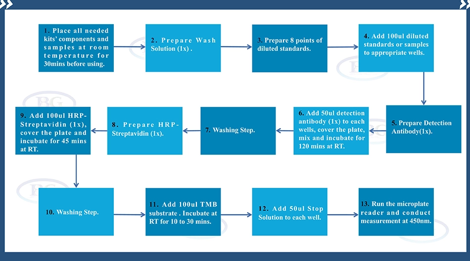 Summary of the Assay Procedure for Human C Reactive Protein ELISA kit
