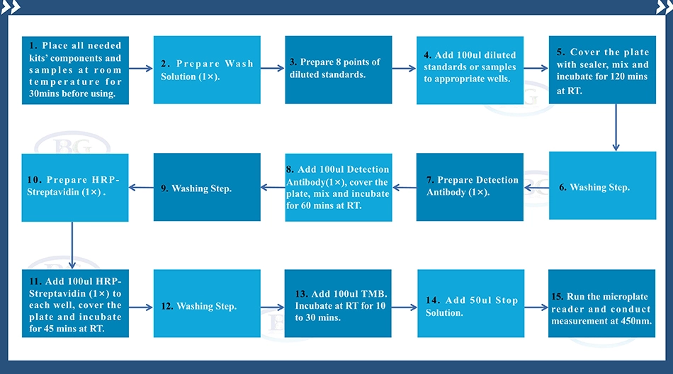 Summary of the Assay Procedure for Human Chemokine (C-C motif) Ligand 18 ELISA kit