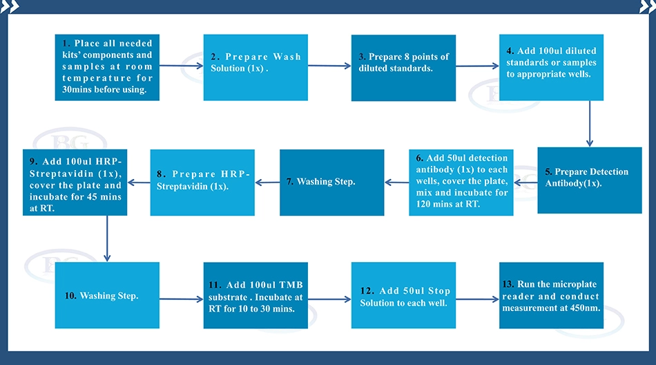 Summary of the Assay Procedure for Human Collagen, Type I, Alpha 1 ELISA kit