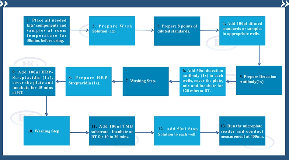 Summary of the Assay Procedure for Human/Canine/Porcine Insulin ELISA kit