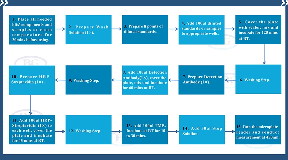 Summary of the Assay Procedure for Human Interleukin 1β ELISA kit