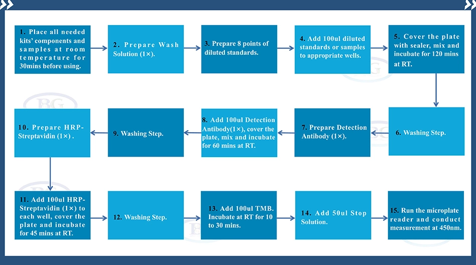 Summary of the Assay Procedure for Human Leptin ELISA kit