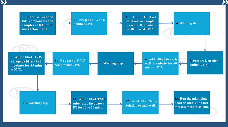 Summary of the Assay Procedure for Bovine Immunoglobulin G ELISA kit VDR