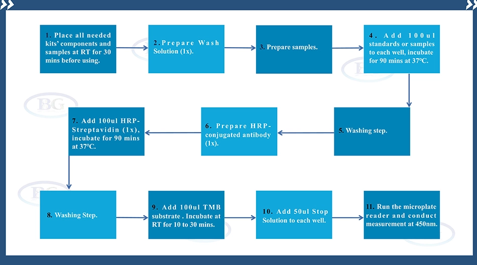 Summary of the Assay Procedure for Protein A ELISA kit