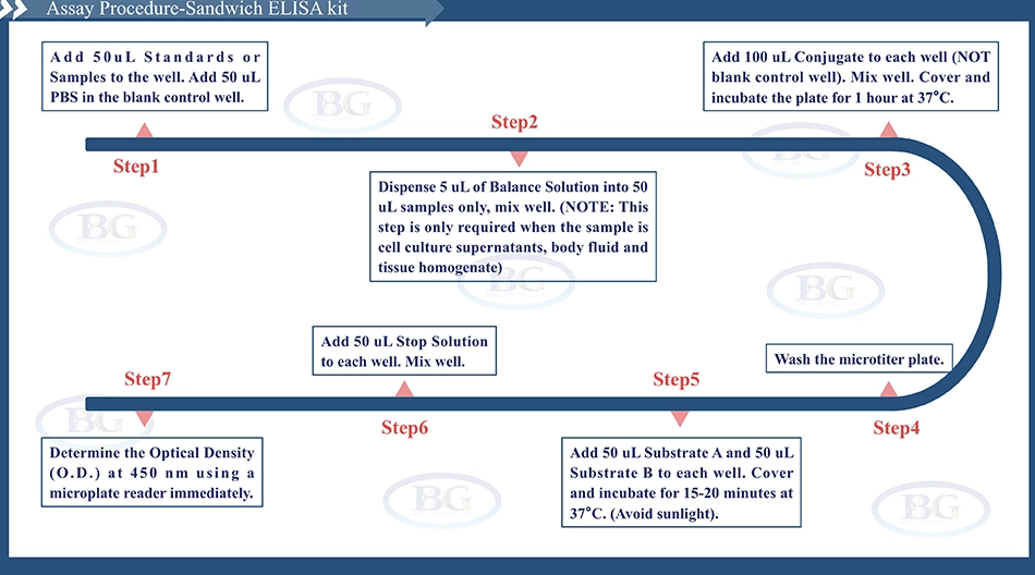 Summary of the Assay Procedure for Porcine Epinephrine/Adrenaline ELISA kit