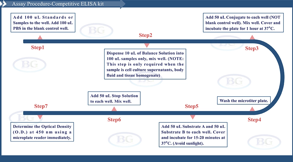 Summary of the Assay Procedure for Chicken Total Adiponectin ELISA kit