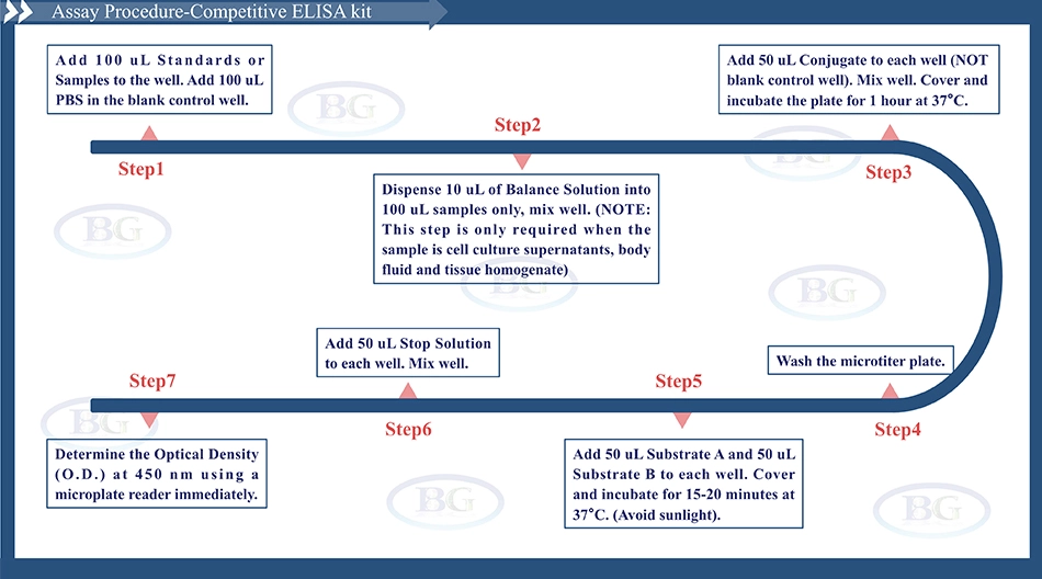 Summary of the Assay Procedure for Sheep Anti Interleukin 10 ELISA kit