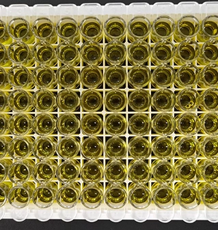 kynurenine elisa kit