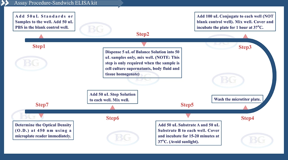 Summary of the Assay Procedure for Porcine Vascular Cell Adhesion Molecule 1 ELISA kit