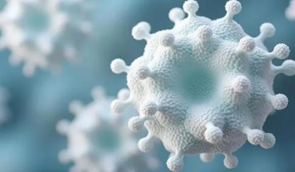 Human Granulocyte Macrophage Colony Stimulating Factor (GM-CSF) Protein, Recombinant