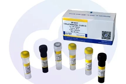 New Launch – Mycoplasma qPCR Detection Kit (Fluorescent Probe Method)