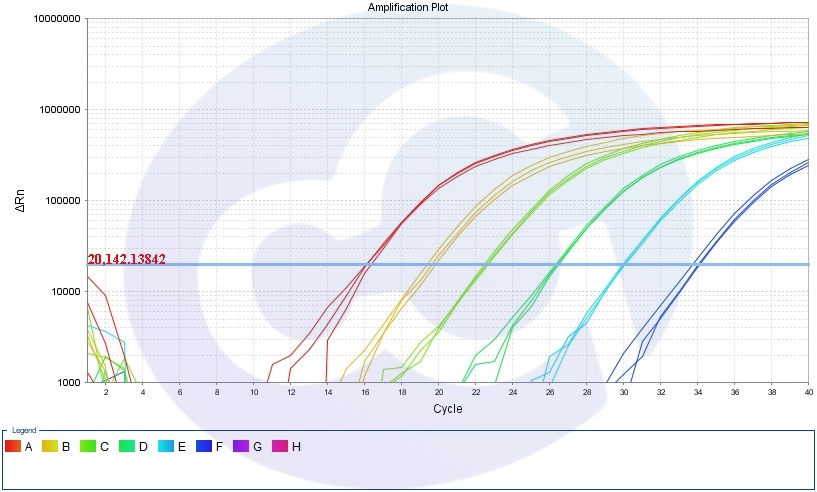 new-launch-mycoplasma-qpcr-detection-kit-fluorescent-probe-method3-_Amplification.jpg new-launch-mycoplasma-qpcr-detection-kit-fluorescent-probe-method3-_Amplification.jpg