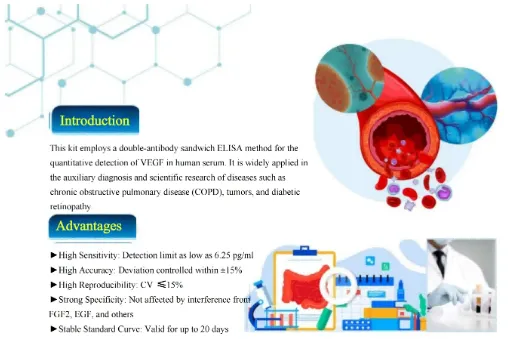 High-Performance Human VEGF ELISA Kits for Reliable Results