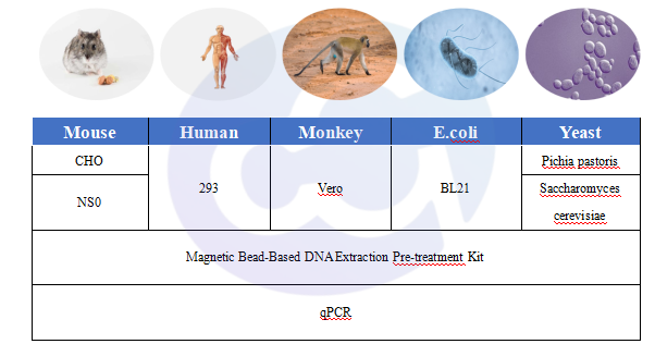 figure-3-host-cell-dna.png