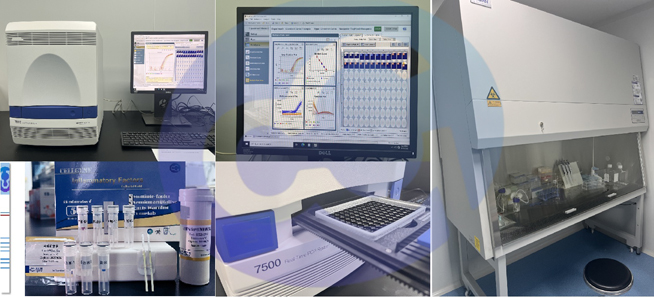 figure8-pcr-analysis-platform.jpg