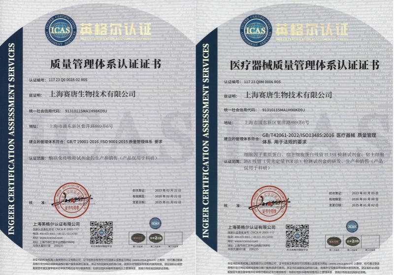 authoritative-certification-02.jpg