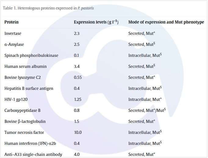 yeast-family-pichia-pastoris-gs115-hcp-elisa_002.png