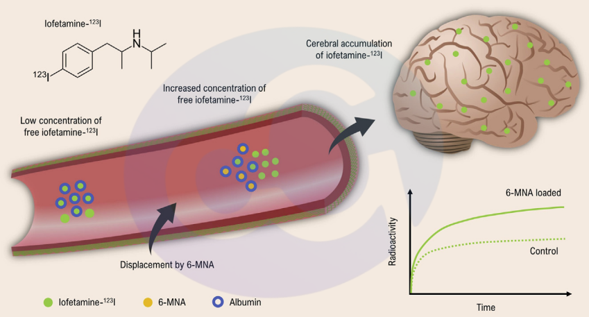bsa-familiar-yet-unfamiliar--launch-of-the-anti-interference-bsa-elisa-kit_(8).png