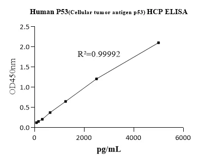 P53